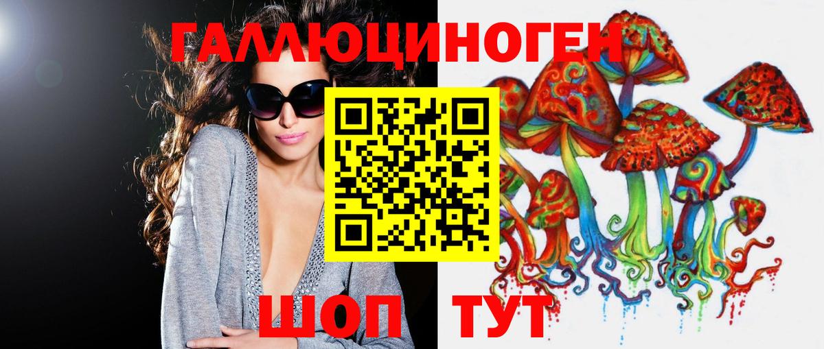 Псилоцибиновые грибы Psilocybe Вязники